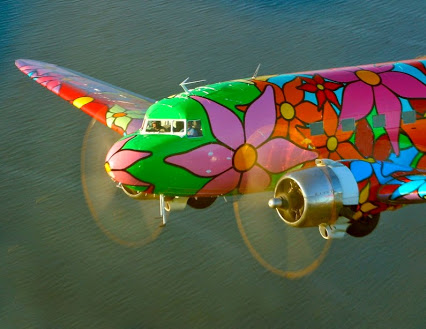 Vietnamese flowers by air into Russia