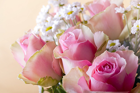 Rose and Valentine