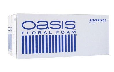 A. OASIS Advantage 31