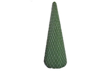 A. OASIS Cone H24cm