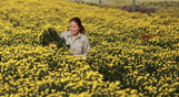 Dalat Hasfarm in preparation for TET